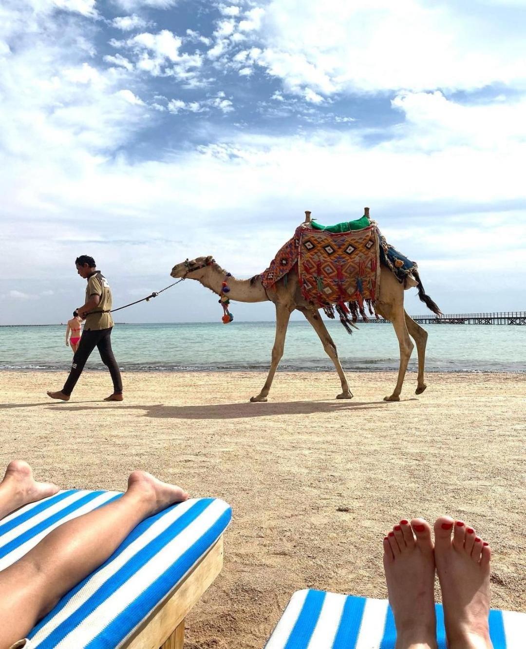Romance Regency Club (Adults Only) Sharm el-Sheikh Luaran gambar